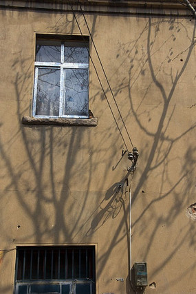 ����Ӱ��