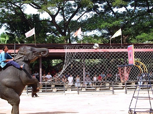 ̩���������