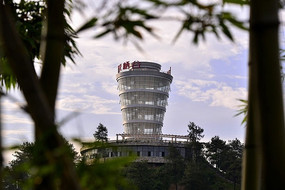 ��͸������