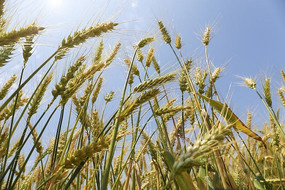 ���µķ�������