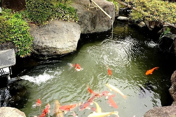 ͥԺ��С���