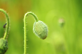 ���ۻ���