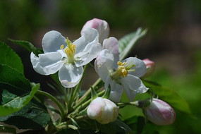 һ�黨�ܱ���