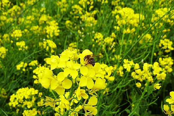 �Ͳ˻����е��۷�