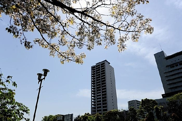 �����ӣ���뽨��