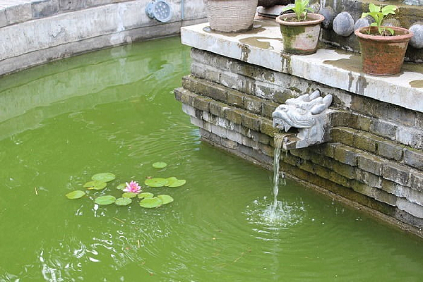 ������Ȫ