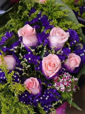 �������õ��