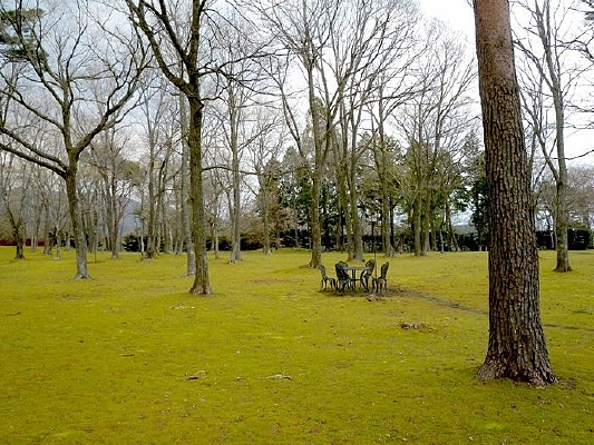 һ������ͼƬ