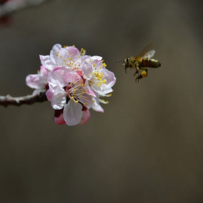 �Ӷ��Ӷ���