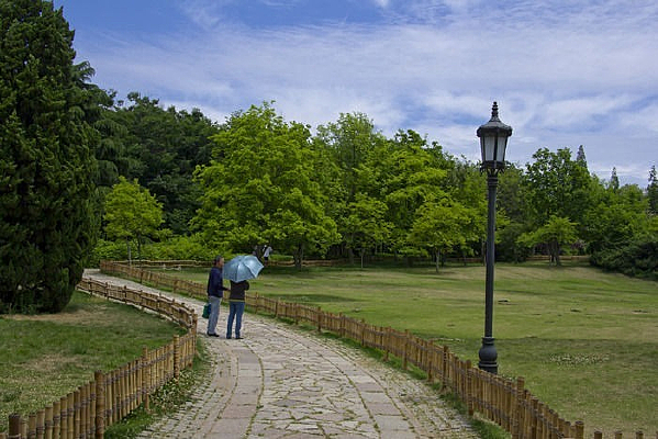 �乫԰������