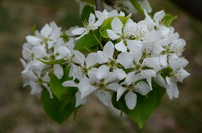 �滨���Ž���