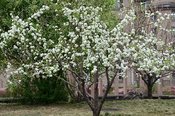 �����ʻ�����