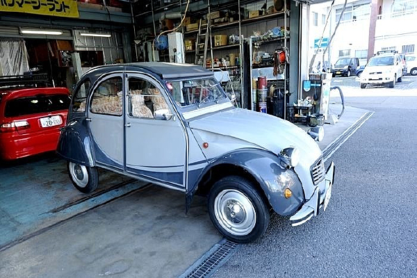 ������ͼƬ