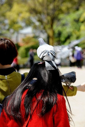 ͣ��ͷ�ϵĸ���