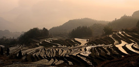 �ƺ�����