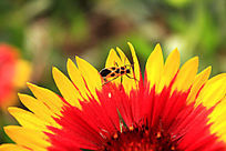 һֻͣ���ڻ��ϵ�����