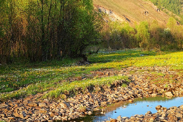 С����Ұ��