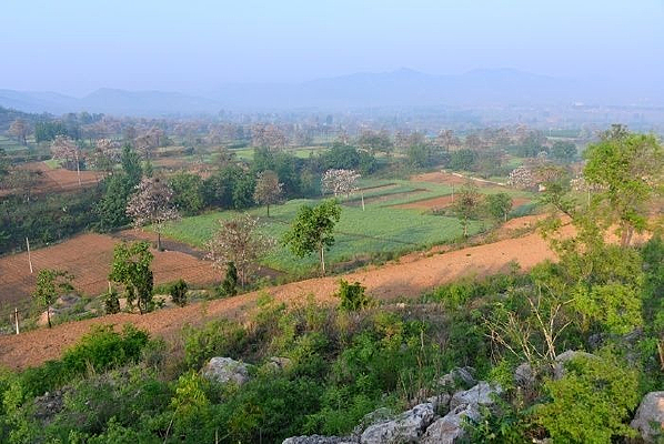 ���������Ұ