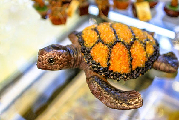 ����֮��