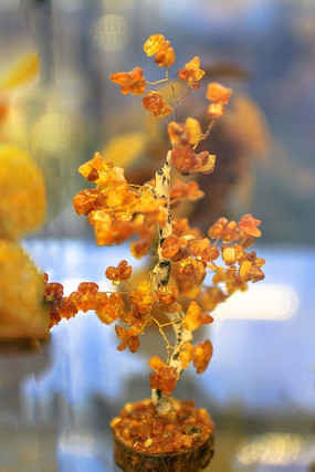 ��֬����Ʒ