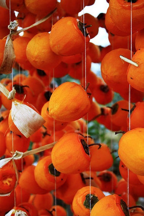 ��͸������