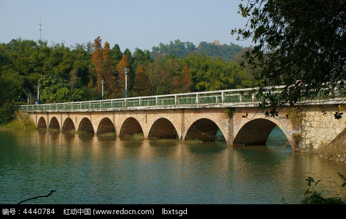 水杉公园的九孔桥