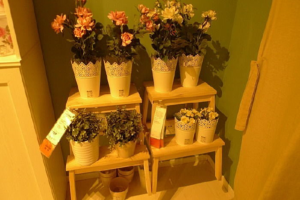 ��԰����