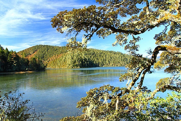 ���������ԭ����