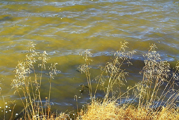 ��������մ�������