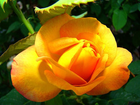 �¼�������ʱ��