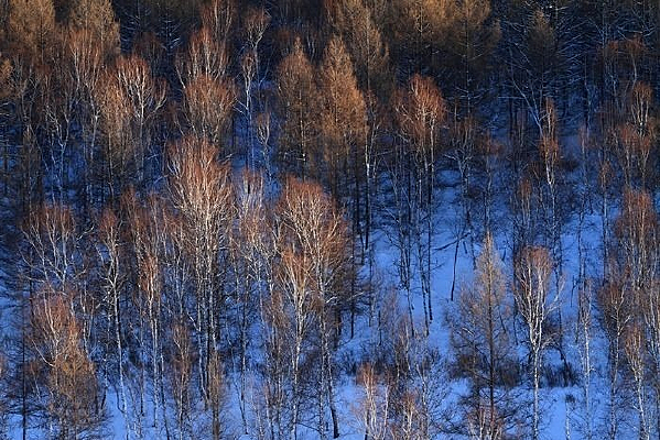 ����ɽ��ɫ