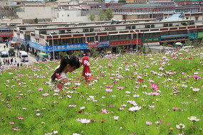 ��ɣ������Ĺ���