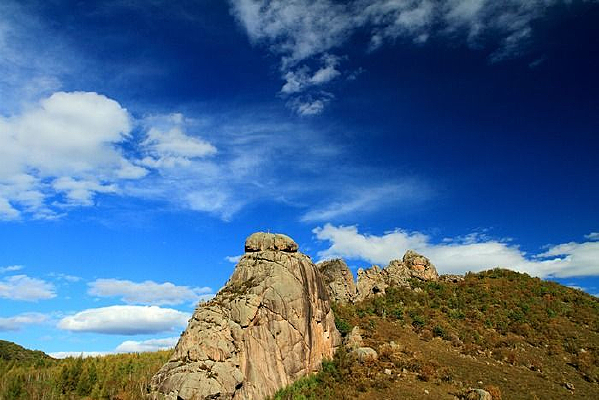 ��ʯ��ɭ��