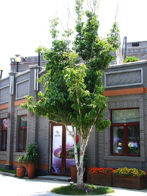 �̵���ǰ�Ĵ����ʹ���