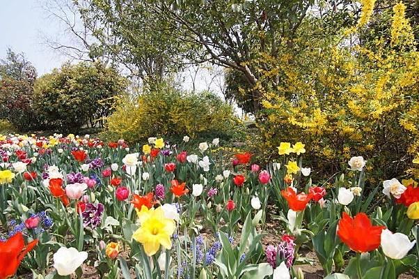 �����պ�