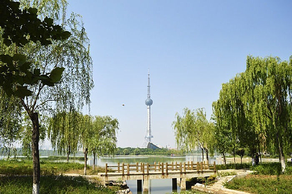 ��԰����