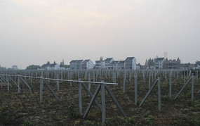 ��Ұ����