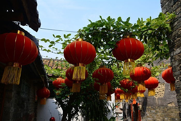 ����Ž���Ⱥ