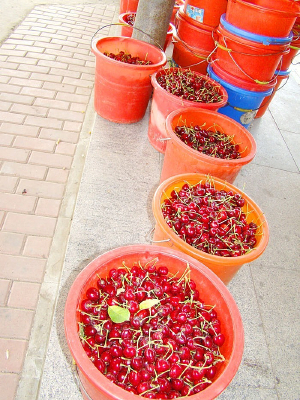 ���յ�ӣ��