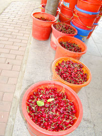 ���յ�ӣ��