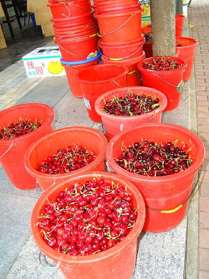 ��Ͱ���ӣ��