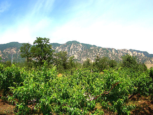 �������ߵ�ɽ��