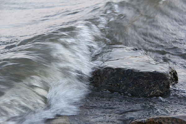 ���˻��Ծ�Ӣ��