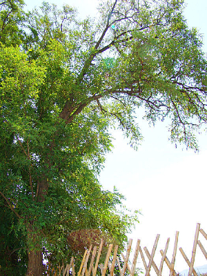 ���ǽ�ԵĴ���