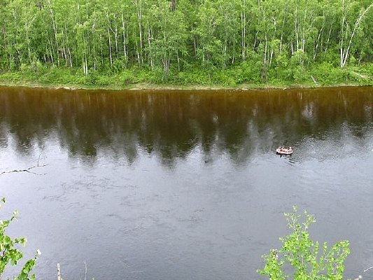 ɭ�ֺ���С��