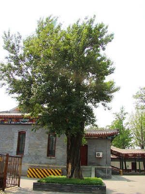 Ժ����Ĵ���