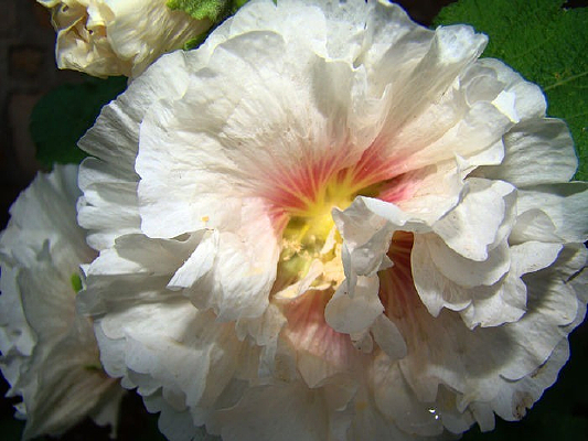 Ŭ�����ŵ����ջ�