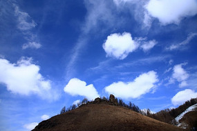 ɽ���������