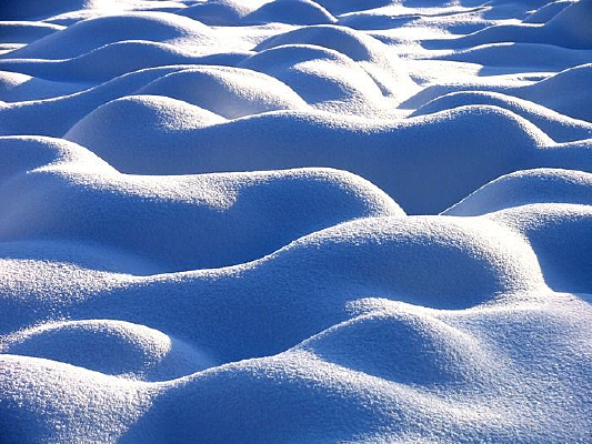 ����ѩ��