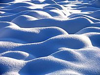 ����ѩ��